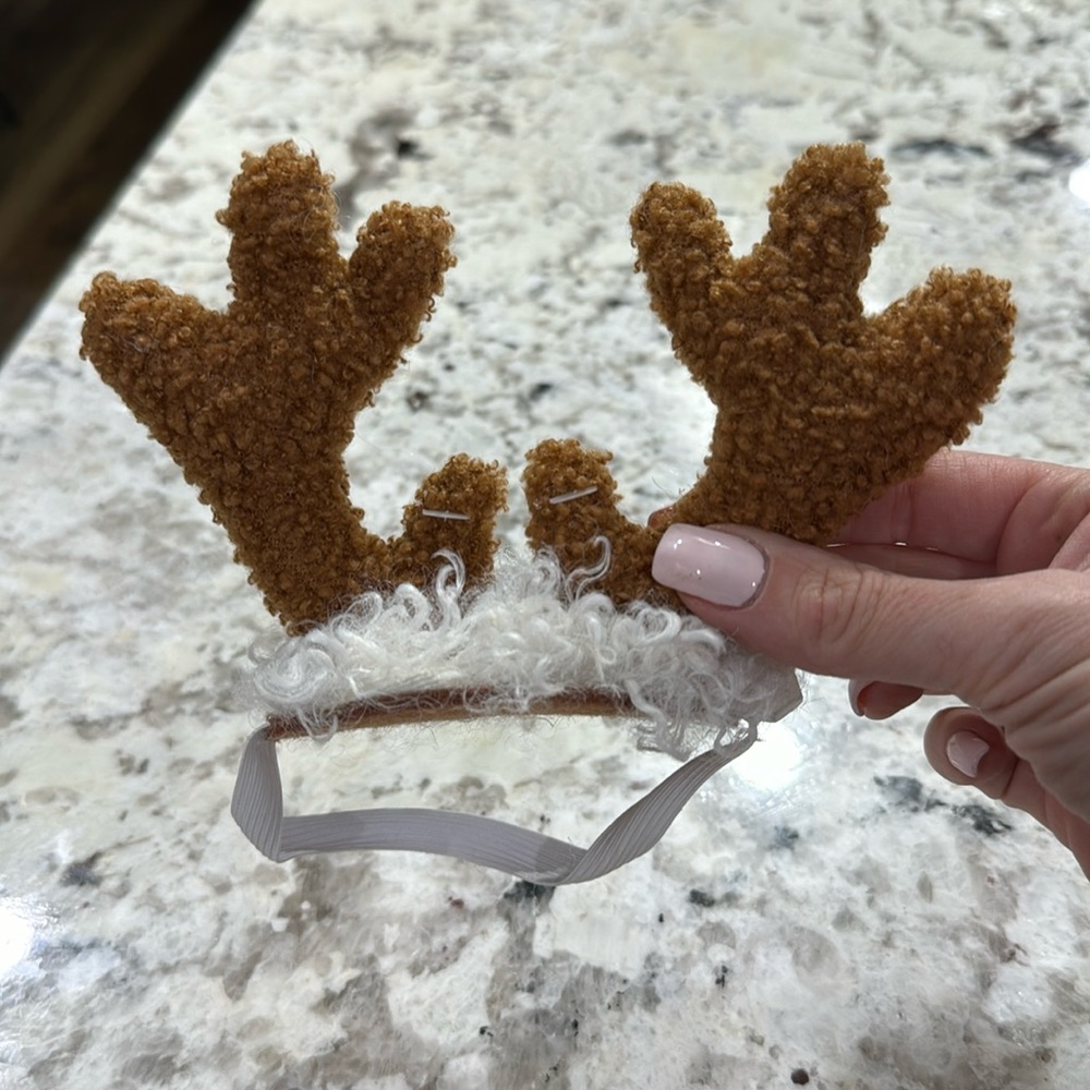 Dog accessories / dog clothes / dog / pets